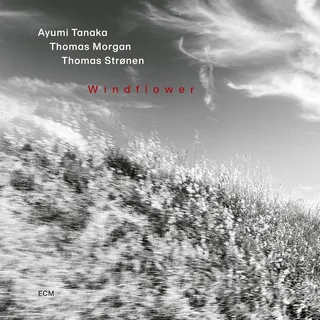 Ayumi Tanaka Windflower (CD)