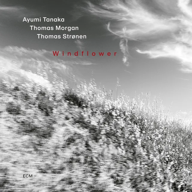 Ayumi Tanaka Windflower (CD) 