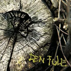 Den Fule Den Fule (LP)