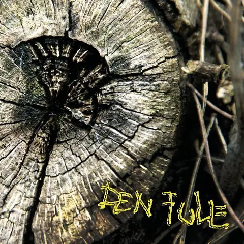 Den Fule Den Fule (LP) 