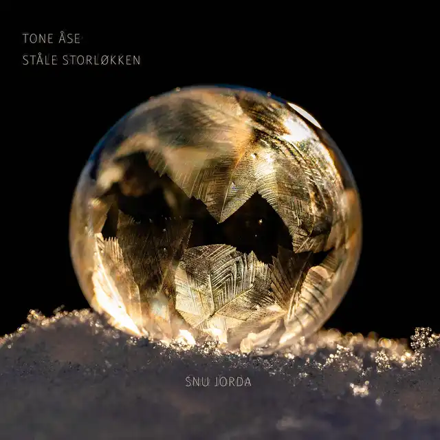 Tone Åse & Ståle Storløkken Snu Jorda (LP) 