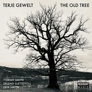 Terje Gewelt The Old Tree (CD)