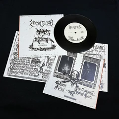 Armagedda The Storm (7")