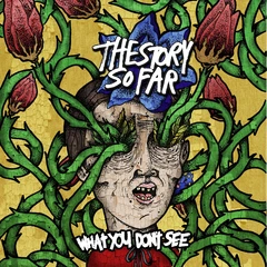 The Story So Far What You Don't See - LTD (LP)
