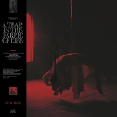Knocked Loose A Tear In The Fabric Of Life - LTD (LP)
