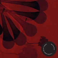 Tyshawn Sorey &amp; Pat Thomas Red Sulphur (CD)