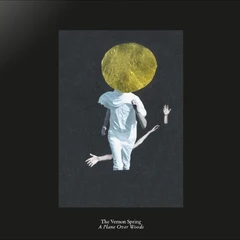 The Vernon Spring A Plane Over Woods (LP)