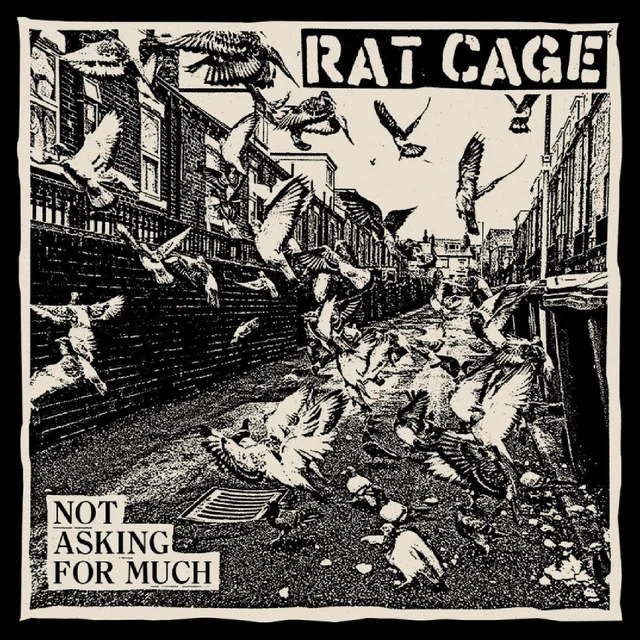 Rat Cage Not Asking For Much (LP) 