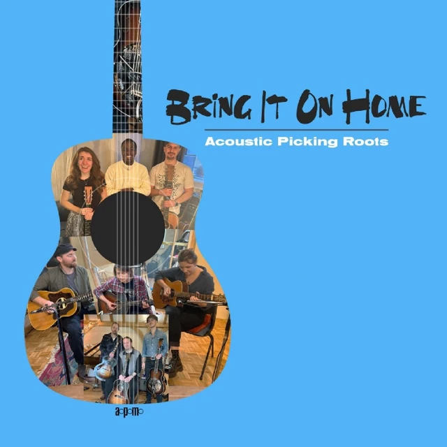Diverse Artister Bring It On Home (CD) 