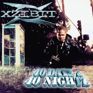 Xzibit 40 Dayz &amp; 40 Nightz (2LP)