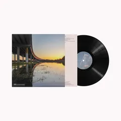 Jamie T Ghosts (100 Days Of Morning) (LP)