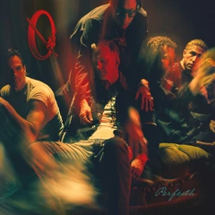 Queens Of The Stone Age Perfecth - LTD (LP)