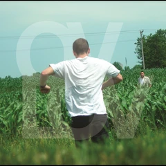 Ovlov Am - LTD (LP)