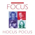 Focus Hocus Pocus: The Best Of Focus (2LP)
