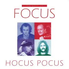 Focus Hocus Pocus: The Best Of Focus (2LP)
