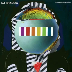 DJ Shadow The Mountain Will Fall - 10 Year… (2LP)