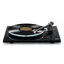 Rega Planar 3, Carbon pickup, Black Glasstallerken, RB330 arm, EBLT drivrem
