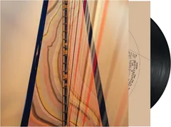 Lara Somogyi A [Time] Patterned (LP)