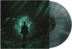 Glasswaves while(True) (LP)