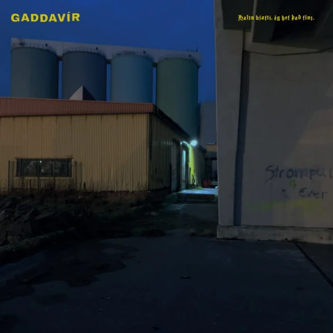 GADDAVÍR Haltu kjafti, ég hef það fínt.(LP) 
