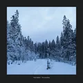 Runar Netland First, Everything (CD)