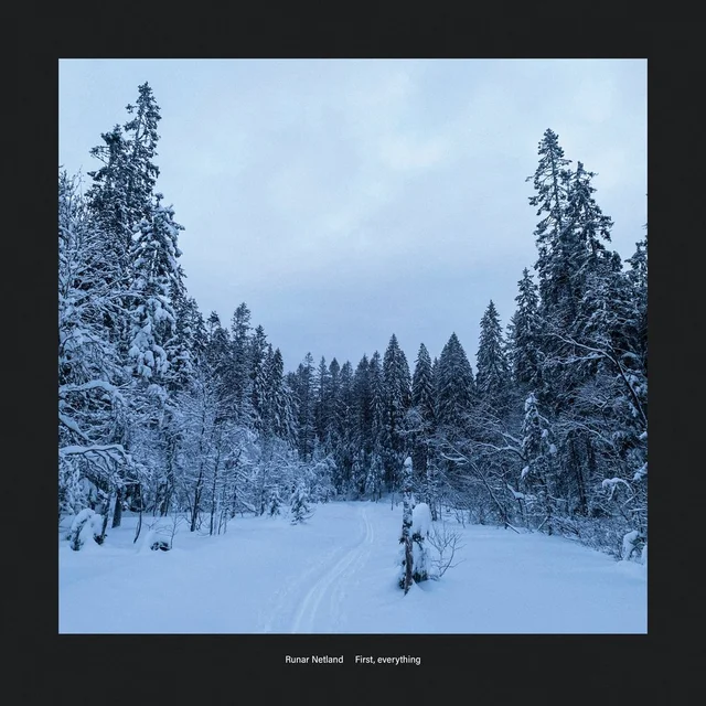 Runar Netland First, Everything (LP) 