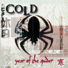 Cold Year Of The Spider - LTD (LP)