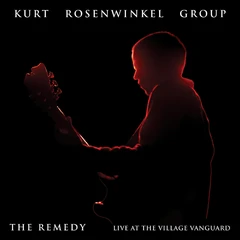 Kurt Rosenwinkel The Remedy: Live At The Village… (CD)