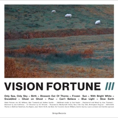 Vision Fortune III - LTD (LP)
