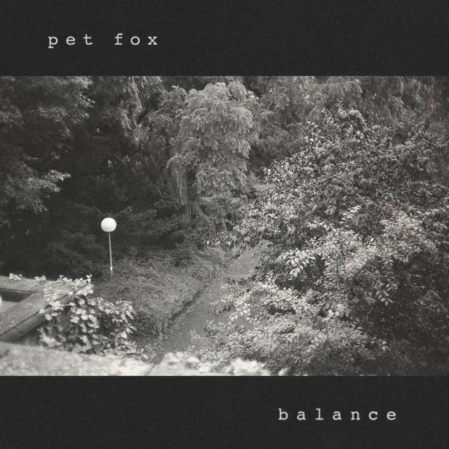 Pet Fox Balance - LTD (LP) 