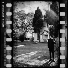 Steve Kilbey Strays: Life Inside The Orphanarium (CD)