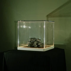 Trá Pháidín Cloch 's Claí - LTD (LP)