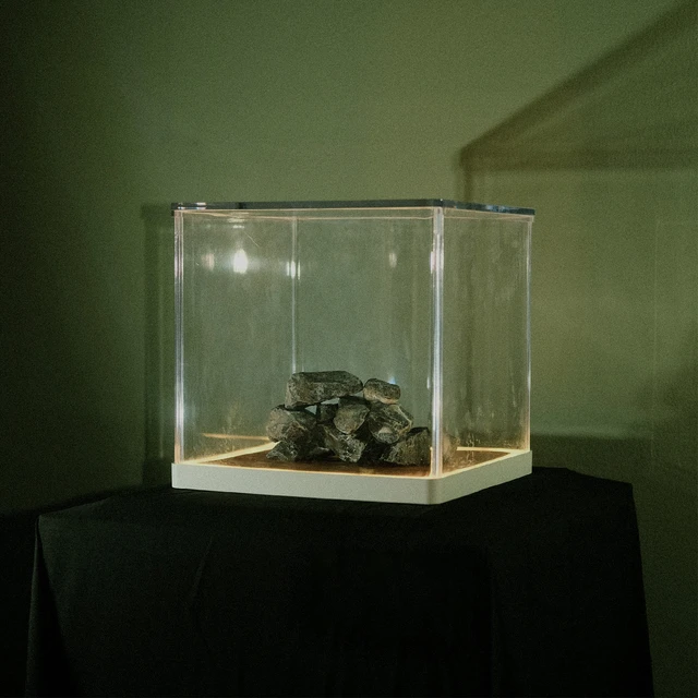 Trá Pháidín Cloch 's Claí - LTD (LP) 