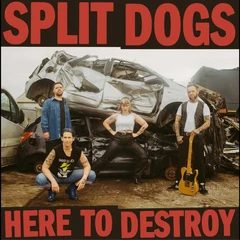 Split Dogs Here To Destroy - LTD (LP)