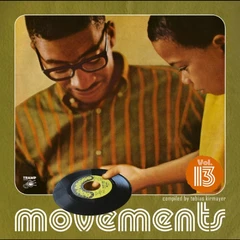 Diverse Artister Movements Vol. 13 (2LP+7)