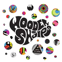 Wooden Shjips Back To Land - LTD (LP)