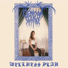 Genital Shame Wellness Plan (CD)