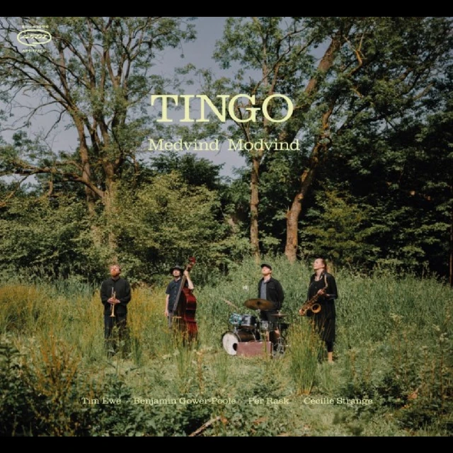 Tingo Medvind Modvind (LP) 