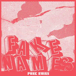 Fake Names Punk Ruins - LTD (LP)