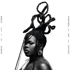 Danielle Ponder Everything Has Changed - LTD (LP)