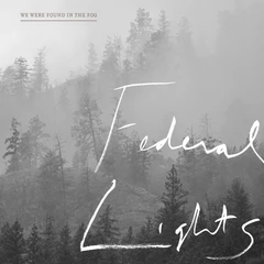 Federal Lights We Were Found In The Fog (LP)