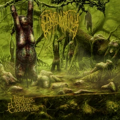 Epicardiectomy Dismal Landscapes Of Voluptuous… (CD)