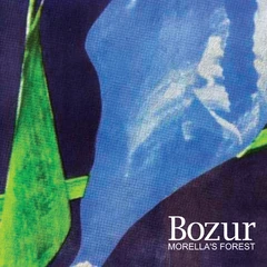 Morella's Forest Bozur (CD)