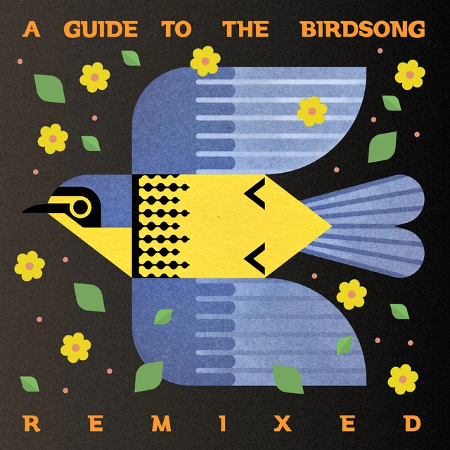 Diverse Artister A Guide To The Birdsong Remixed (2LP) 