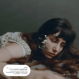Dodie Not For Lack Of Trying (2LP)