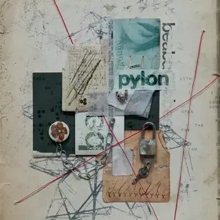 Beabadoobee Pylon - LTD (LP)