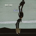 Why Kai Light &amp; Mud (LP)