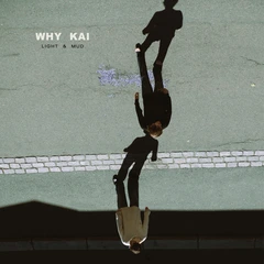Why Kai Light &amp; Mud (LP)