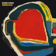 Druid Fluids Pareidolia (CD)
