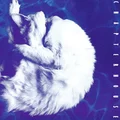 Chapterhouse Whirlpool (LP)